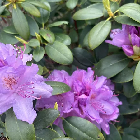 Lejlighed Heimathafen *