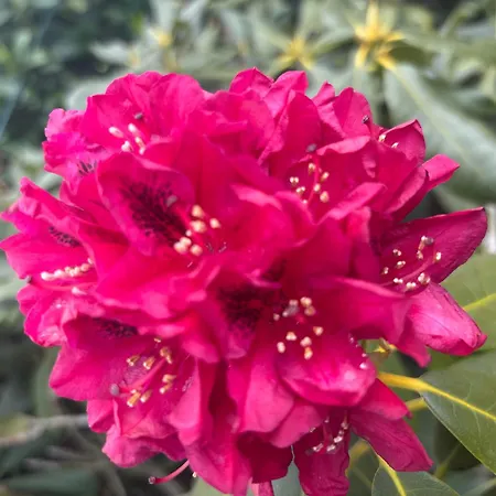 Heimathafen Lambrechtshagen