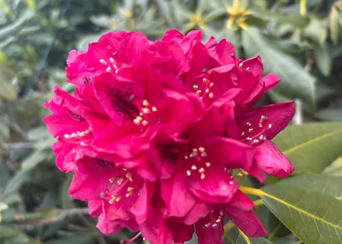 Heimathafen Lambrechtshagen